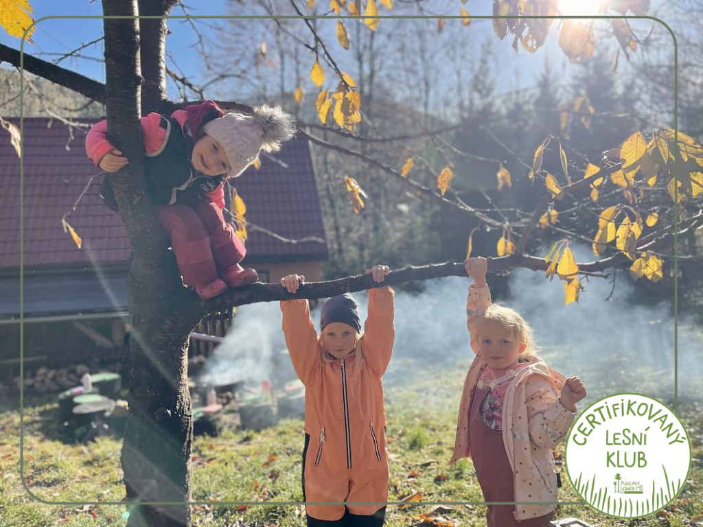 Jsme certifikovaný lesní klub!